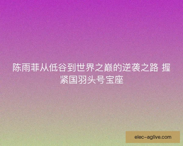 陈雨菲从低谷到世界之巅的逆袭之路 握紧国羽头号宝座